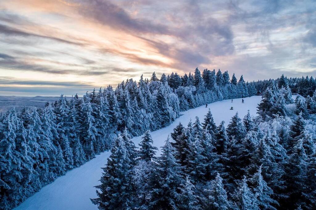 Mountain Lodge Getaway, Ski-In/Ski-Out, Heart Of The Village Snowshoe Exteriér fotografie